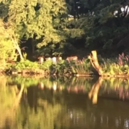 Inviting 2-bed In Domfront En Poiraie Holiday home