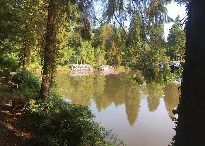 Inviting 2-bed In Domfront En Poiraie *